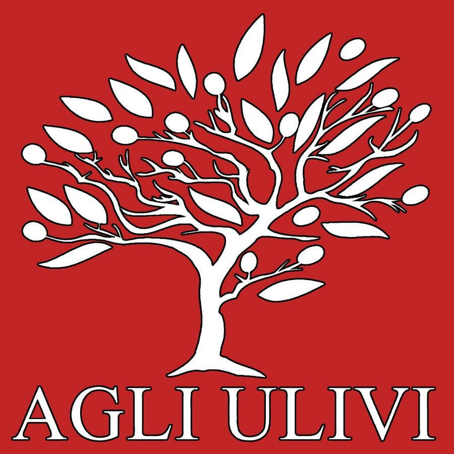 Appartamento Agli Ulivi 데센자노델가르다 외부 사진